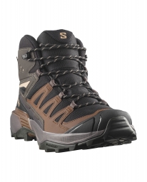 Salomon X Ultra 360 Mid GTX 